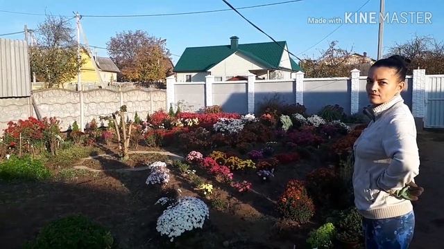 Дом в теплице ! Ящик под растения,заливаем бассейн! смотреть онлайн
