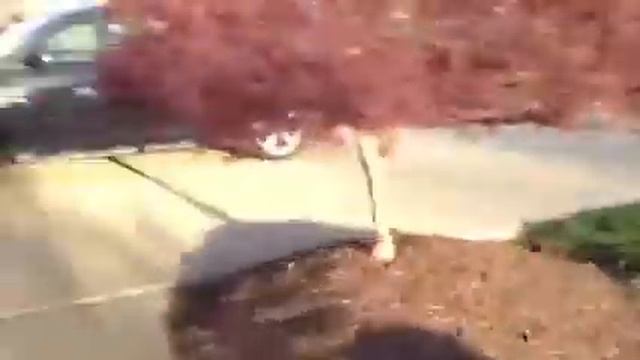 Nerf mission 2 the traitor смотреть онлайн