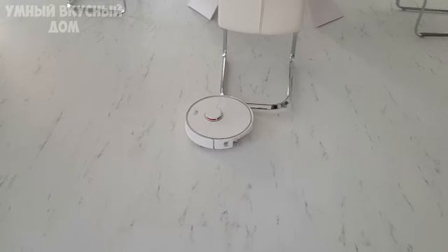 Лучший Робот пылесос Xiaomi Roborock S5 Max