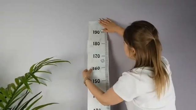 VEROL / Ростомер детский 