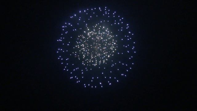 6" SH 6001 Blue peony w/strobe pistil (A) 9/1 смотреть онлайн