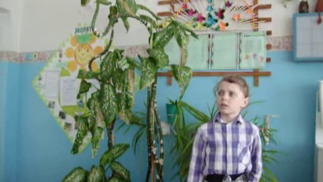 Страна читающая.Ф.Тютчев "Зима недаром злится..." смотреть онлайн