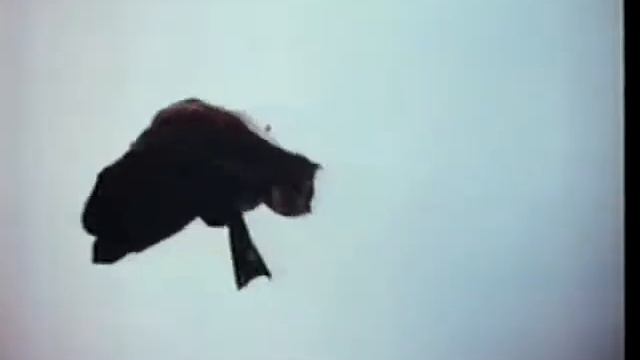 인트로 - 영화 롤러보이즈 - 비디오테이프 VHS, Prayer of the Rollerboys, 1990 смотреть онлайн