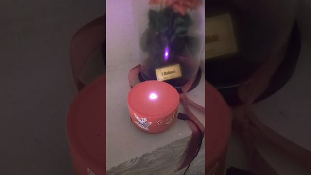 Алиса знает сколько будет 2 + 2 Алиса знает сколько будет 7 х 7 Алиса знает сколько будет 8 х 8 смотреть онлайн