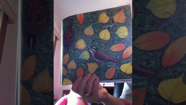 Why do Leaves change Colors? Video book reading смотреть онлайн