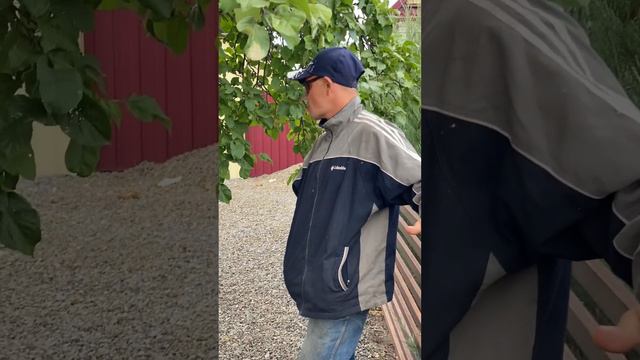 Серёга.Олег.Лена. #рекомендации #shortsvideo #а4 #волгоград #рек #россия #топ #шортс #тренды #ютуб смотреть онлайн