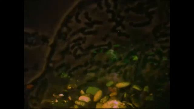 Martian Graffiti 2.0 смотреть онлайн