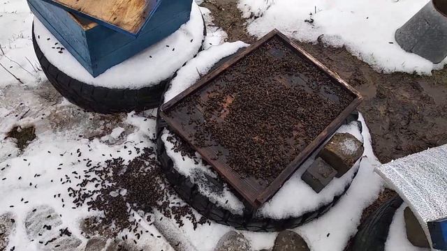 Итог чрезмерного использования щавелевой кислотой смотреть онлайн