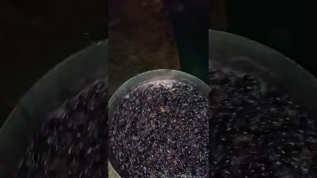 Дроблённый виноград смотреть онлайн