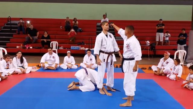 SHOTOKAN DISARM DEMONSTRATION DOJO SAN SEBASTIAN