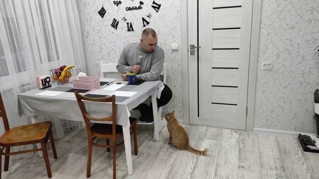 Переезд в Россию/Поездка в Тамбов/Покупки для ремонта бани/Спасибо бывшим хозяевам дома/ смотреть онлайн