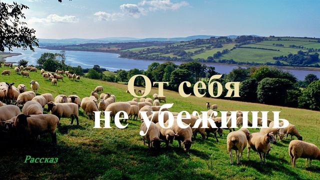 От себя не убежишь.. (рассказ)