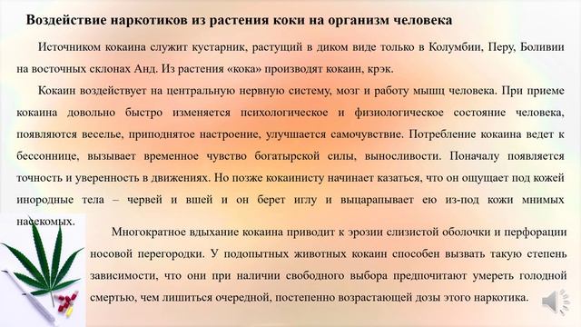 Видеопрезентация «О вреде наркотиков с разных сторон».mp4 смотреть онлайн