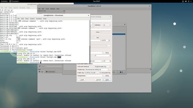 Redis GUI (FastoRedis) SSH Connection смотреть онлайн