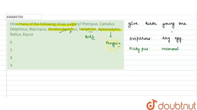 How many of the following show vivipary? Pteropus, Camelus, Delphinus, Macropus, Ornithorhynchus... смотреть онлайн