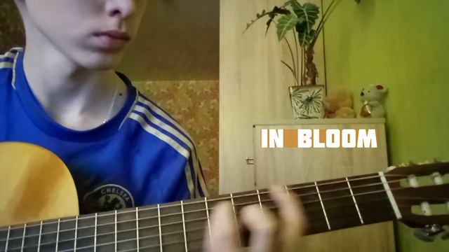 5 рифов группы Nirvana смотреть онлайн