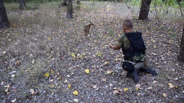 Встретили лису. Ищем вход в санаторий. Осматриваем территорию. Эксклюзивный объект-Заброшенный мир смотреть онлайн