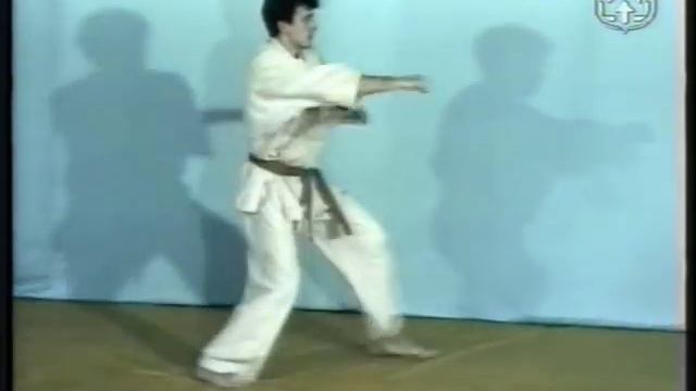 Техника карате КИОКУШИНКАЙ. Часть 14. смотреть онлайн