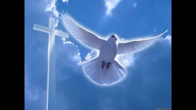 Ты лети, голубок! смотреть онлайн