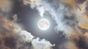 СТРЕЛЕЦ И СКОРПИОн совместимость