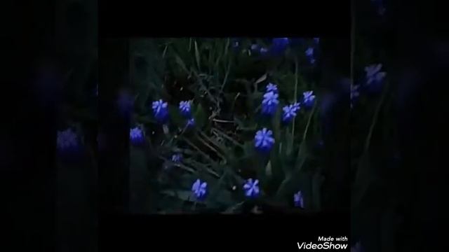 Призыв к труду. смотреть онлайн