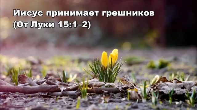 Тихое время с Живой Жизнью: от Луки 15:1–10 (12032017)