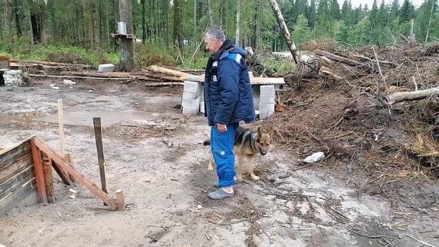 Проснулись от того, что кто то воет.. смотреть онлайн