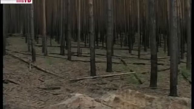 Сохранение и восстановление лесов смотреть онлайн