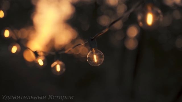 Заподозрив мужа в измене, жена установила в спальне скрытую камеру и поехала к подруге смотреть... смотреть онлайн
