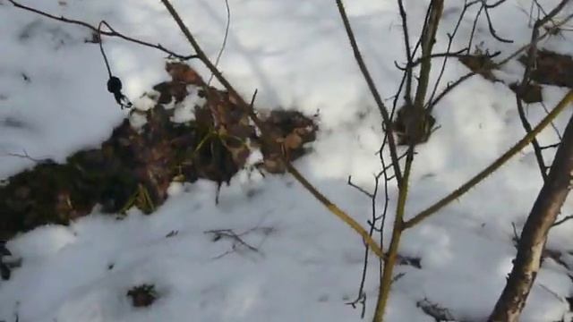 Деревянная вышка в тайге. Часть 2 смотреть онлайн