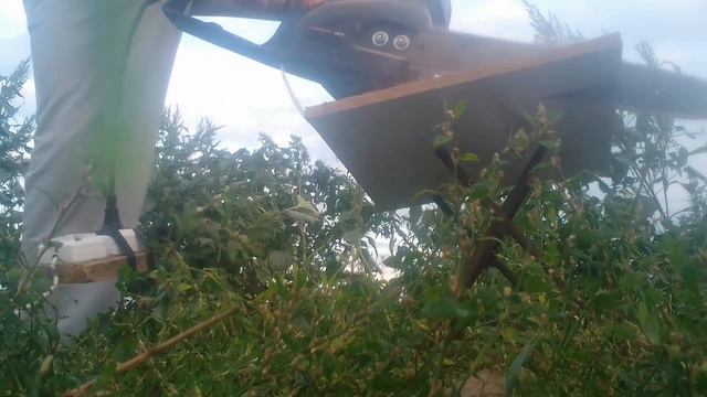 электропила. пилит отлично. мощность готово, отлично. (1).mp4 смотреть онлайн