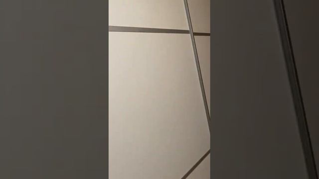 спальня шкаф купе , 270х 240, цвет дуб Вотан. , двери Белый Лофт. смотреть онлайн