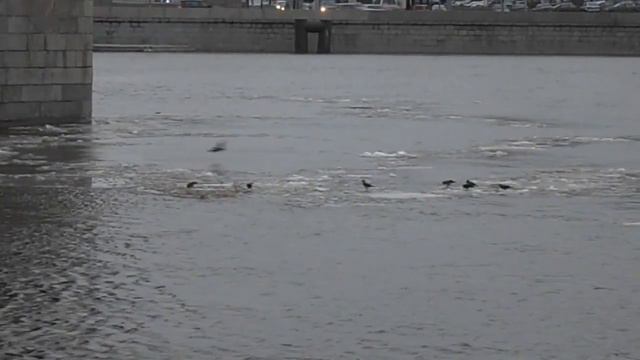 Neva river 14.12.2013 Нева смотреть онлайн