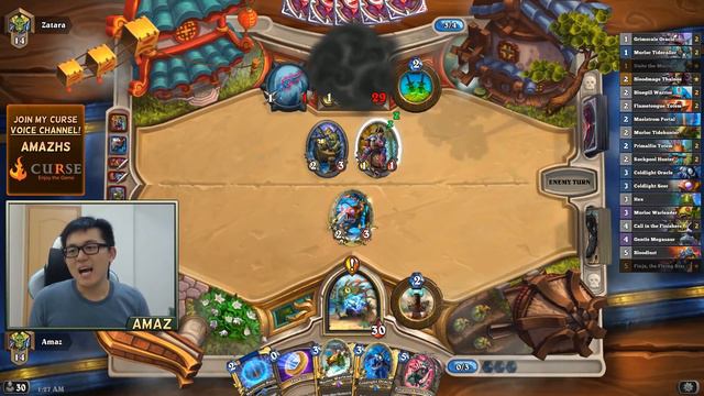 Hearthstone Expert Amaz vs the 1 Star Quest смотреть онлайн
