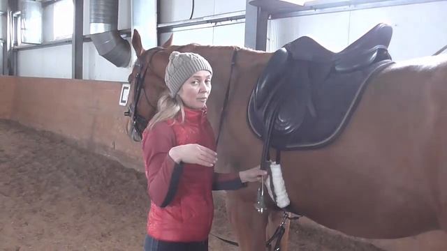 Как садиться на лошадь смотреть онлайн