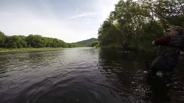 Сахалин. Ловля горбуши. Заход первой кеты в реки. смотреть онлайн