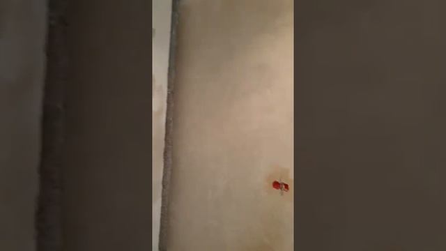 Ваш электрик в Анапе. Электромонтаж в ЖК Раз Два Три. Видеообзор смотреть онлайн