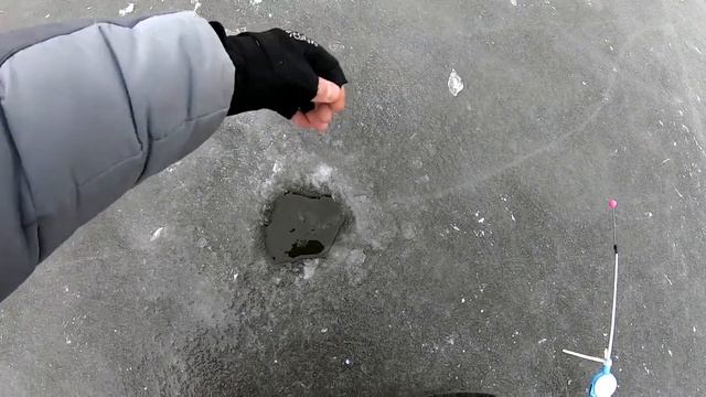 Рыбалка на Крупного карася. смотреть онлайн