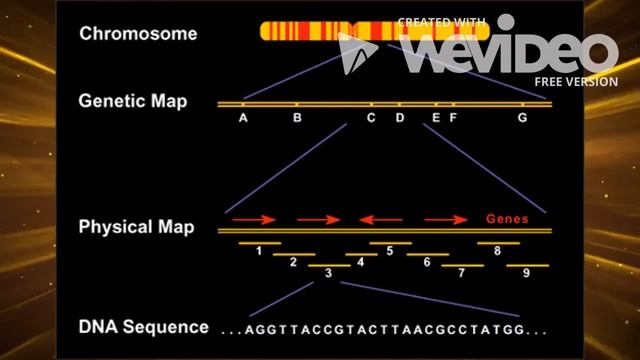 A video about the human genome project смотреть онлайн