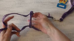 Шлейка для шпица  ШЛЕЙКА или ОШЕЙНИК?