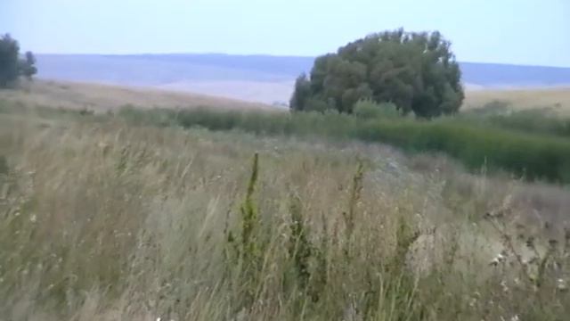 Как прекрасен этот мир смотреть онлайн