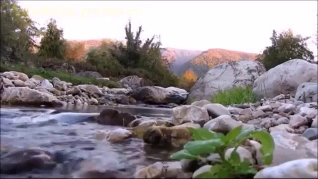 Пророк  Мухаммад мир его благословение видели сон