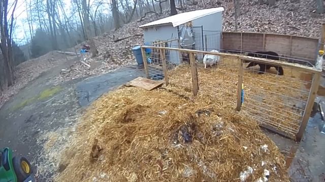 Эти Животные Связались Не с Тем Соперником. Редкие Сражения Животных , Снятые на Камеру смотреть онлайн