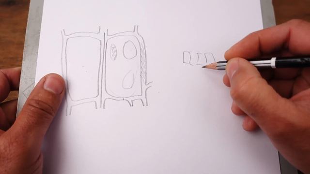 ✽ FERTILIZANTE con CÁSCARA DE PLÁTANO Banana - Para tus Flores смотреть онлайн