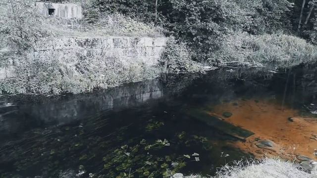 VID 20220819 201101 Снова: флоксы в безветрии 1977 (Г. Айги)...Павел Васильев Лахтинский смотреть онлайн