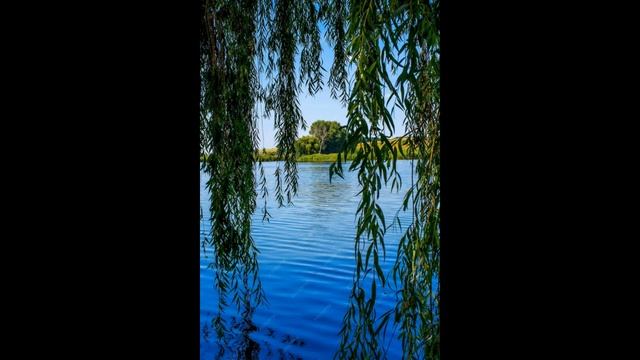 Волшебное озеро смотреть онлайн