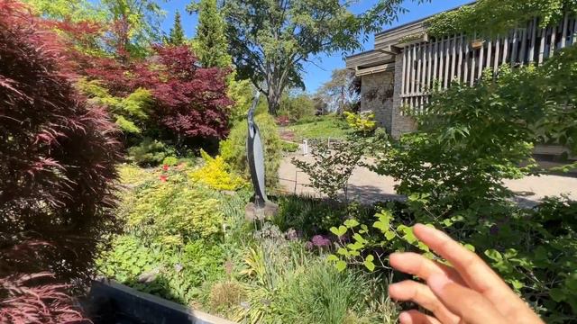 花园景观 - 颜色从哪里来？ смотреть онлайн