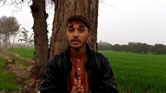 Low Investment And High Profit Business In 2021 || High Profit Business Ideas | Wajid Ali Sargodhia смотреть онлайн