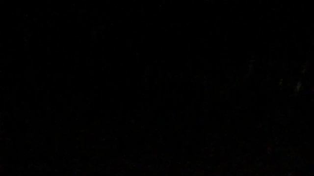 И опять я встретил лису неподалеку от Купавны