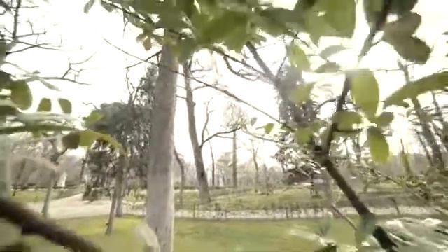 Нашид бил курьан Nashid